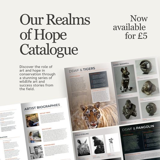 Realms of Hope catalogue