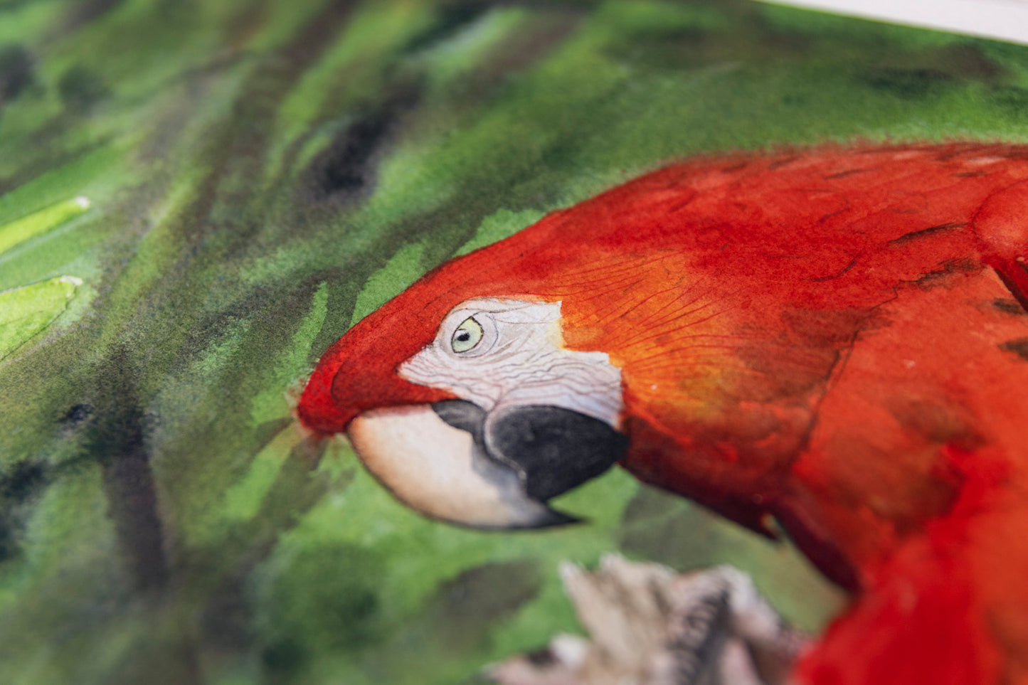 Rainforest Painter